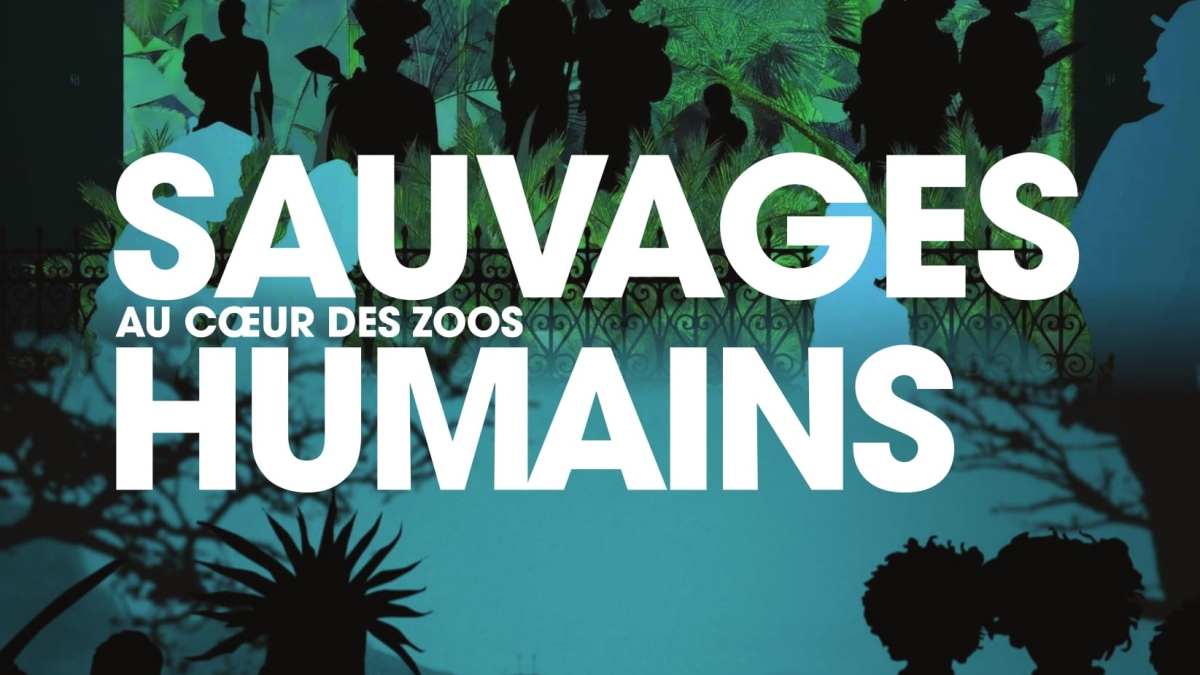 Arte Sauvages Au Coeur Des Zoos Humains MQUE TEMPS FORTS S19 : Du 4 au 10 Mai 2019 | FranceTvPro.fr